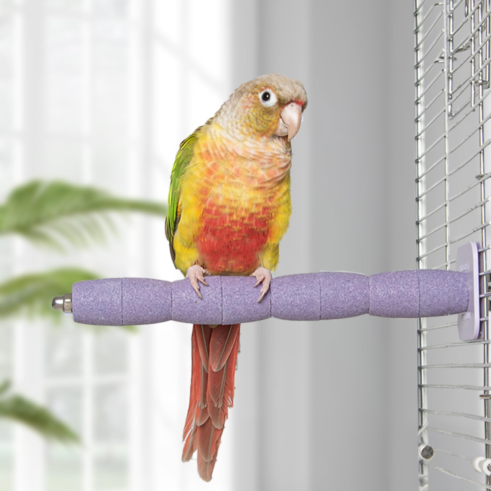 YOOSO WING Parrot Perch Birds Nail File Perch Abrasive Surface Ceramic Paw Grinding Stick – Bird Nail File – for Parrots, Budgies, Parakeets, and Cockatiels Bird Cage Accessory (Purple, 7.8Inch)