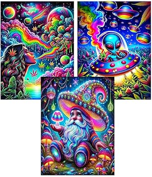 EIBEILI 3 Pack Diamond Art Kits for Adults,Diamond Painting for Wall Decor