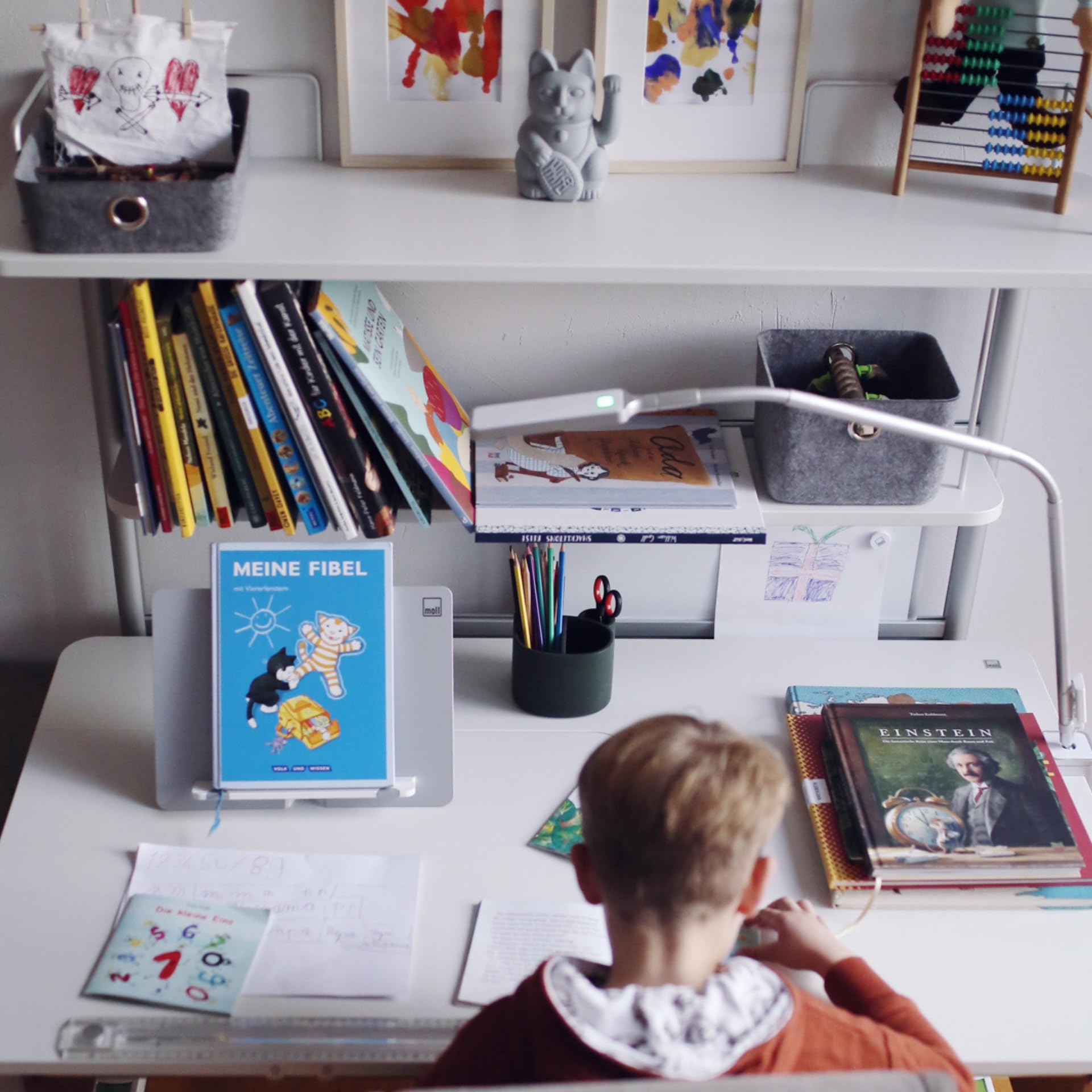 moll Design-Buchstütze für Kinderschreibtisch | faltbar & stabil mit integrierten Klammern | ergonomische Leseposition | ideal für Schulkinder | langlebig & hochwertig | Made in Germany