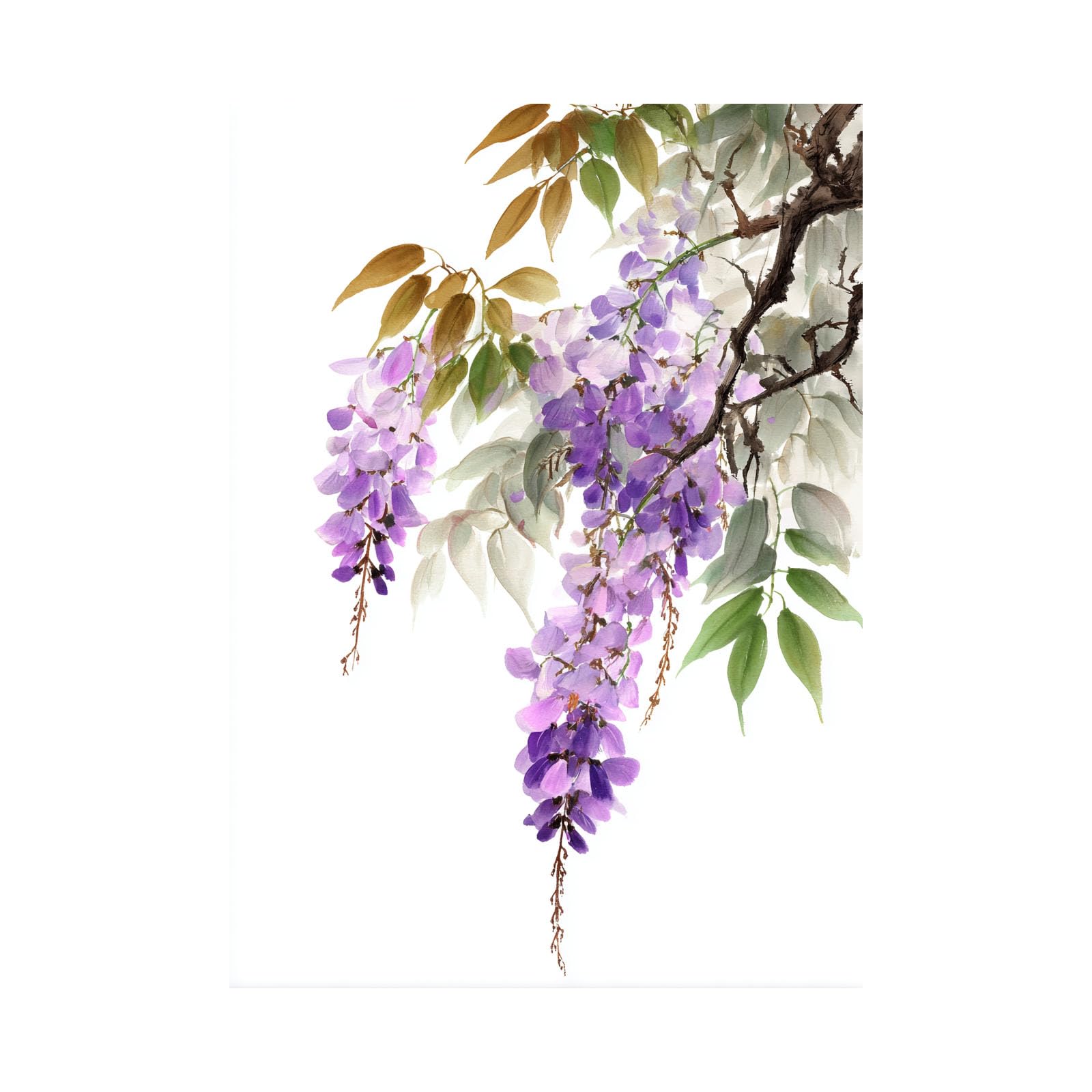 Teruea Purple Large Flowers Canvas Wall Art Ink Wash Watercolour Violet Bloom Botanical Floral Motif Spa Pictures Wall Decor Art Prints For Yoga Meditation Room(Purple)-80X120cm1 Unframed