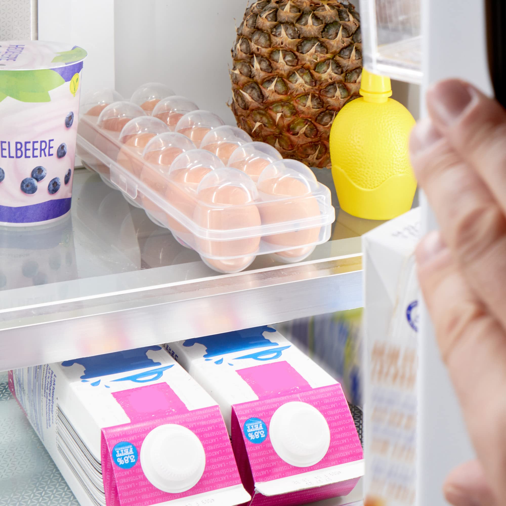 COM-FOUR® 2x Pojemnik na 12 jajek - pojemnik na jajka do lodówki - pojemnik na swieze jajka - pojemnik do przechowywania jajek