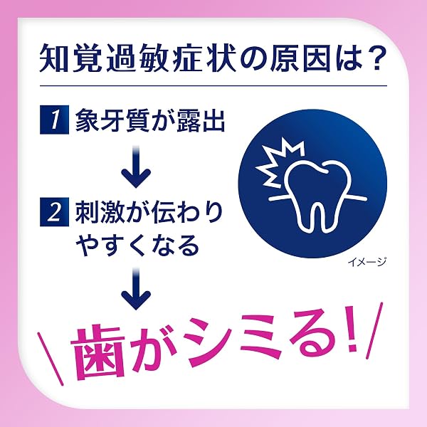 シュミテクト 歯周病ケア【医薬部外品】歯磨き粉 知覚過敏ケア 高濃度フッ素配合<1450ppm> 2本 - 4