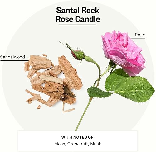 Miniatura 2 de Apotheke Santal Rock Rose - Velas perfumadas de 3 mechas para el hogar, vela en tarro de cera de soja de 26 onzas, regalo para mujeres, fragancia