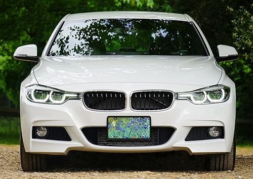 Miniatura 4 de WIRESTER Placa decorativa frontal para automóvil, placa de matrícula novedosa para automóvil, SUV, camión, vehículo, metal de aluminio resistente, 6