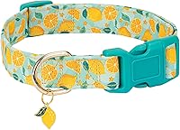 Vista 1 de Lindo collar para perro, ajustable y ligero para hembras, hembras, hembras, hembras, collar de verano suave y elegante con diseño especial de limón