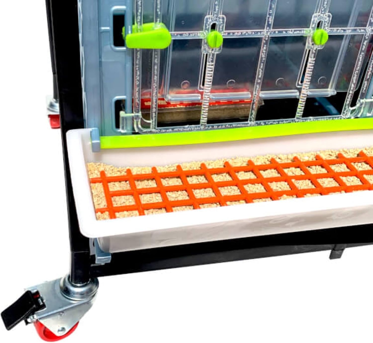 Hatching Time 15" Chick Brooders – Stackable & 2-Section Options, Automatic Heating, Easy-Clean Tray, Includes Feeders & Drinkers, Perfect for Quail, Chickens, Ducks & Baby Birds (2 Layer)