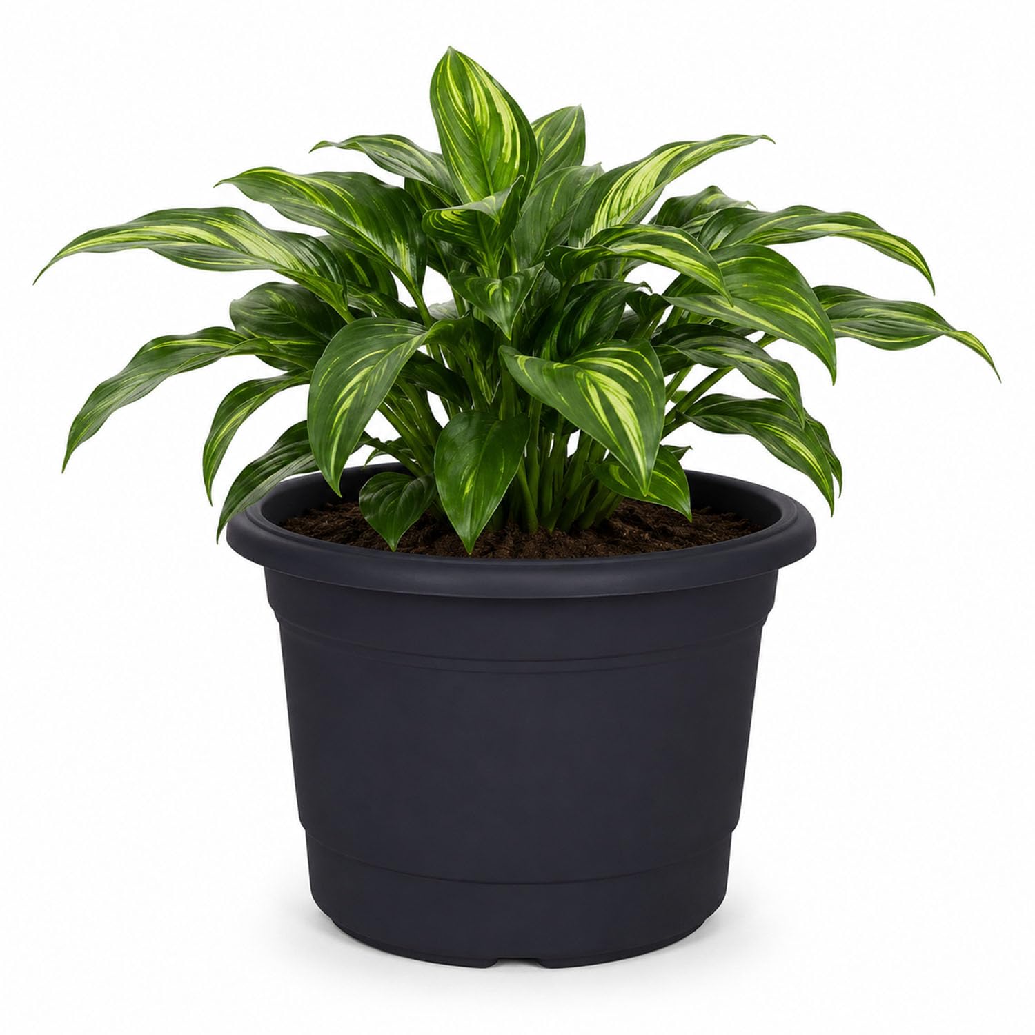 UHL 30cm Milano Black Planter Pot, Lightweight Durable Plastic Plant Pots with Drainage Holes for Indoor & Outdoor Use, Decorative Round Flower Pot for Houseplants, Herbs, Patio, Balcony & Garden