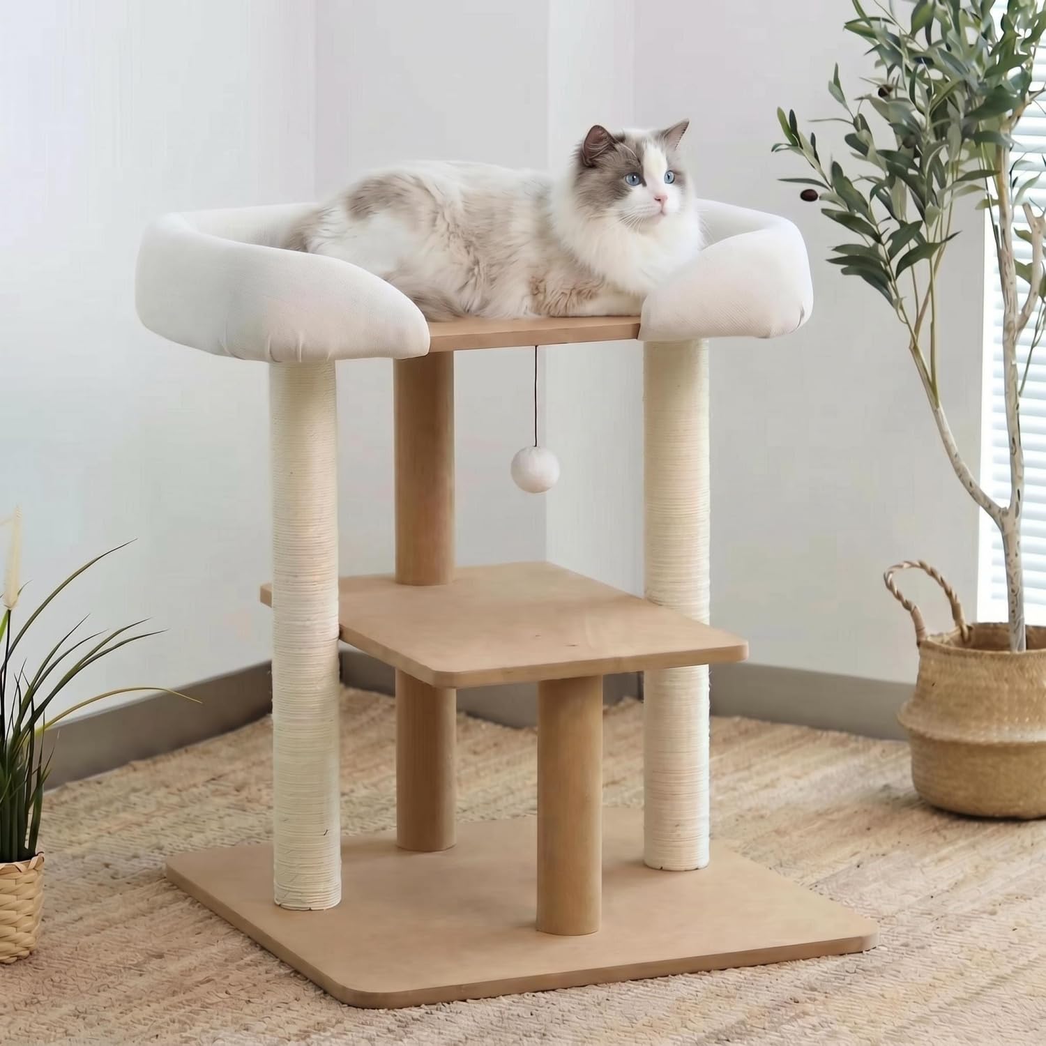 Arbre à chat moderne en bois SHENGOCASE pour grands chats Maine Coon
