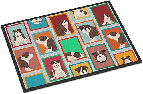 Vista 260 de Caroline's Treasures MLM1087MAT - Felpudo de perro de montaña bernés de 18 x 27 pulgadas, para interiores y exteriores, para entrada, Bernese