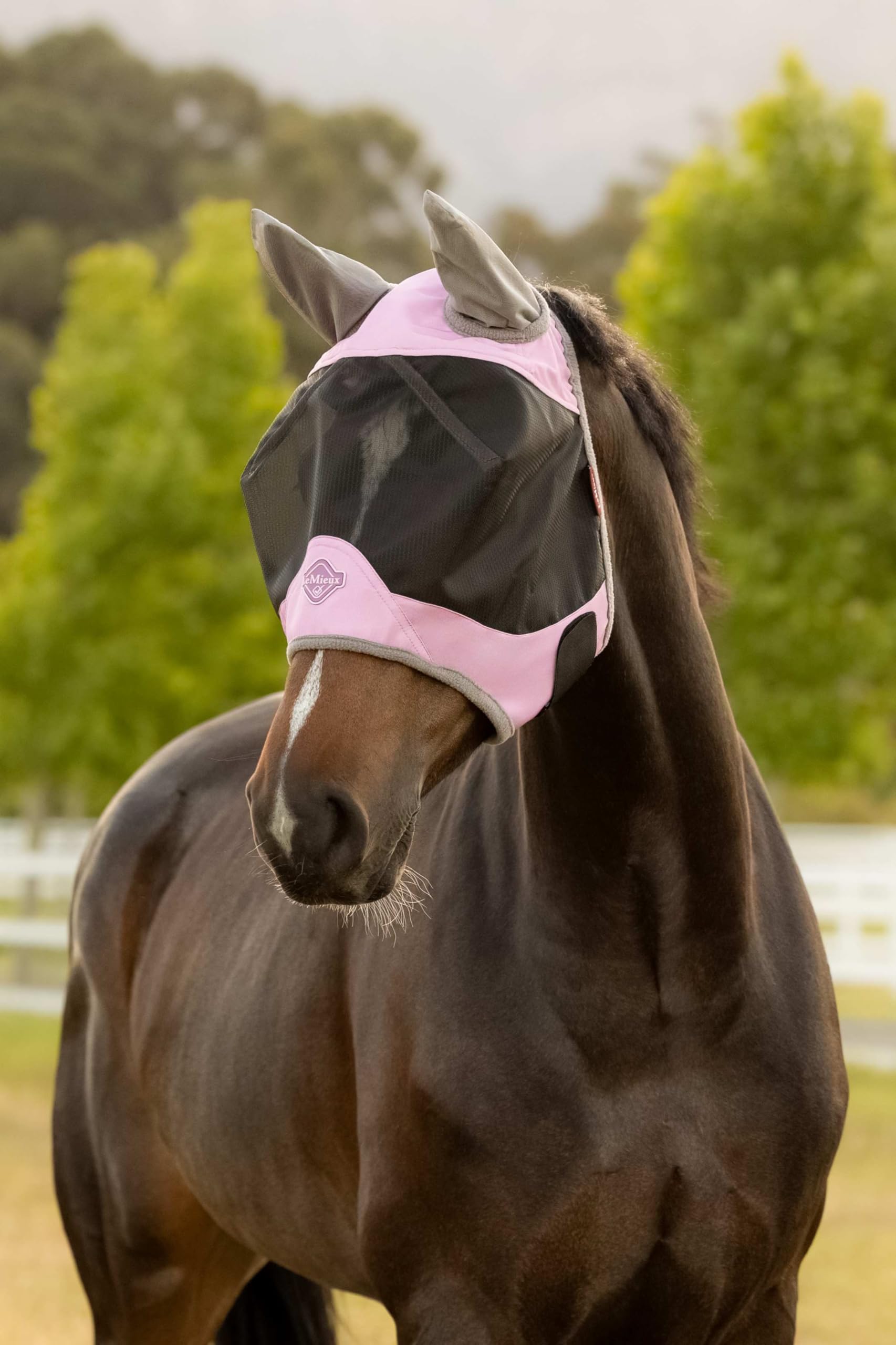 LeMieux Visor-Tek Halbfliegenmaske – atmungsaktives schwarzes UV-Netz – weiche Futterstreifen – Fondant – klein