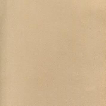 Stillman &amp; Birn Nova Series 22x30 ورقة 5 -حزمة ، بيج