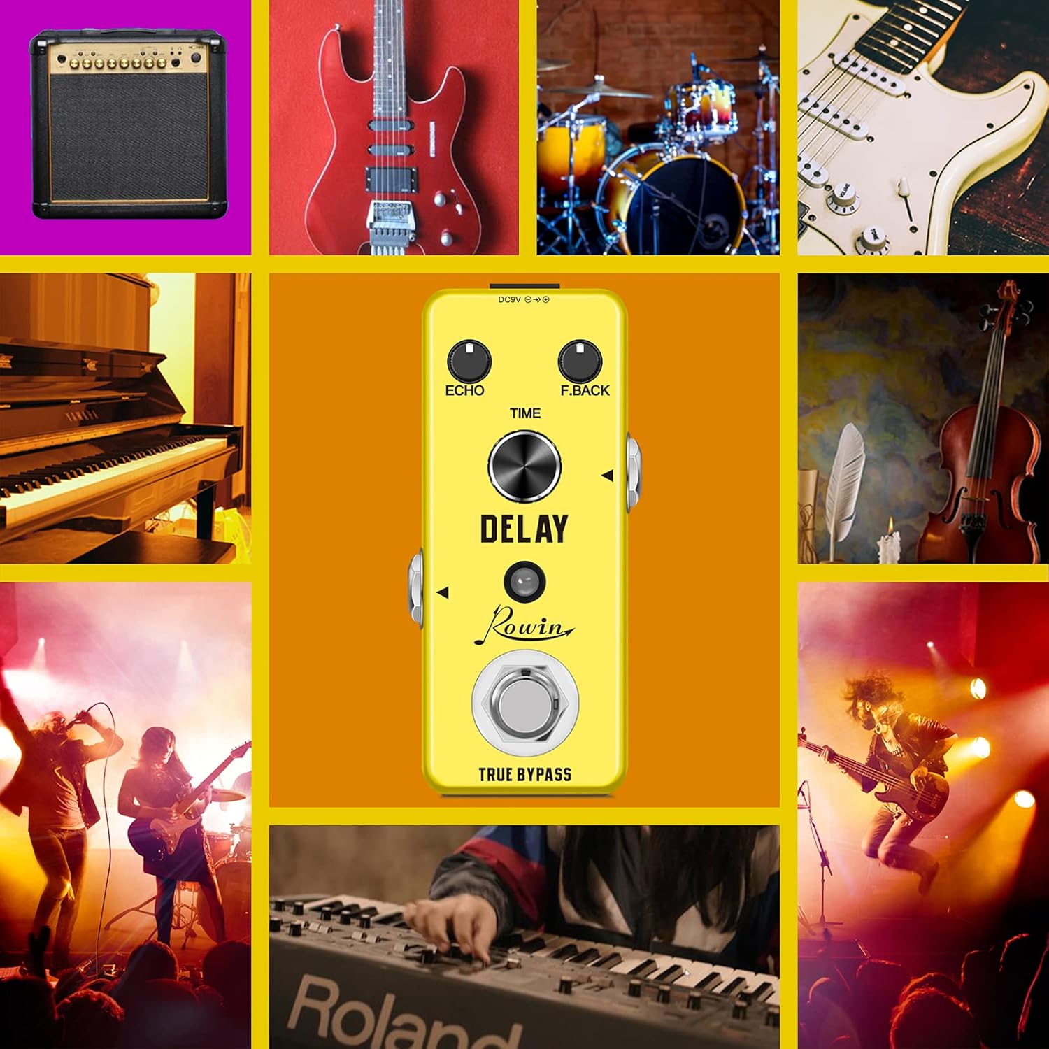 Rowin Analog Vintage Delay Guitar Effect Pedal