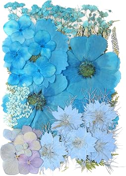 10 Types 50PCS Pressed Dried Flowers for Resin Molds,Real Natural Dried Flowers for Making Mobile Phone Case Candle Handmade Crafts Pendant Necklace Jewelry DIY Accessories
