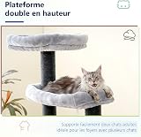 Hey-brother Arbre à Chat pour Maine Coon, poteaux en sisal (φ11 cm), MPJ01W - 7