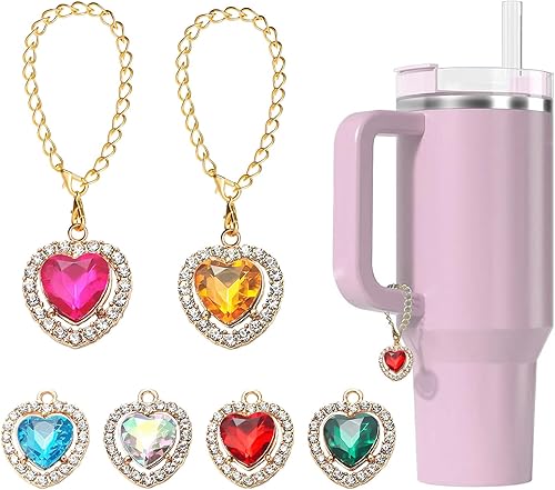 GENLEAS - Juego de 6 dijes para taza Stanley para Hydro Flask para Yeti para otros vasos de agua con asa, dijes de identificación personalizados,