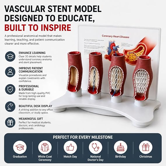 Vascular Stent Model Gift for Medical Students Doctors