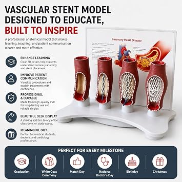 Vascular Stent Model Gift for Medical Students Doctors