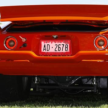Timtin 1 Set Fluorescent Red Acrylic License Plate Frame Cover with Screws, Fits Standard 6 x 12 Inches Car Plate, Transparent Universal Car Tag Frame Holder Accessories (Style 1)