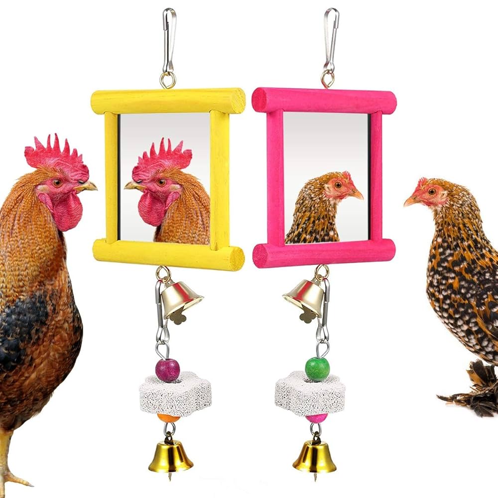 Amazon.com : Vehomy 2Pcs Chicken Mirror Toys for Hens