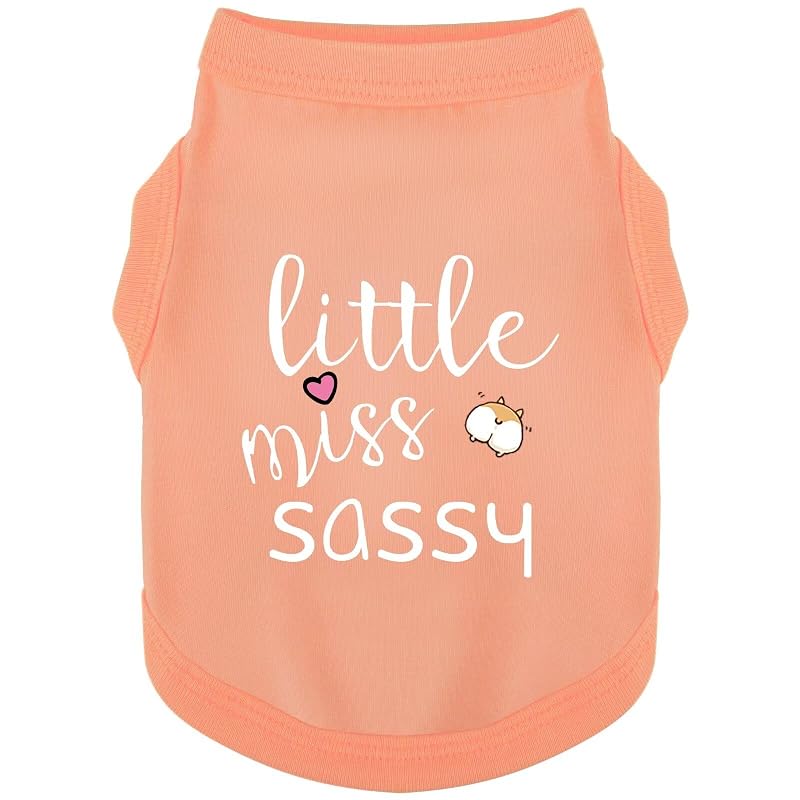 Camisa de algodão sem mangas para cães Paiaite com estampa Little Miss Sassy Orange Pink, tamanho S