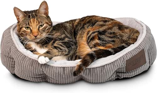 Pet Craft Supply Cat Bed for Indoor Cats - Kitten