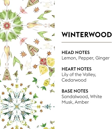 Miniatura 98 de MAISON BERGER Repuesto de fragancia Lampe Berger para difusor de aceite de fragancia del hogar - 16.9 onzas líquidas / 500 mililitros Frescura