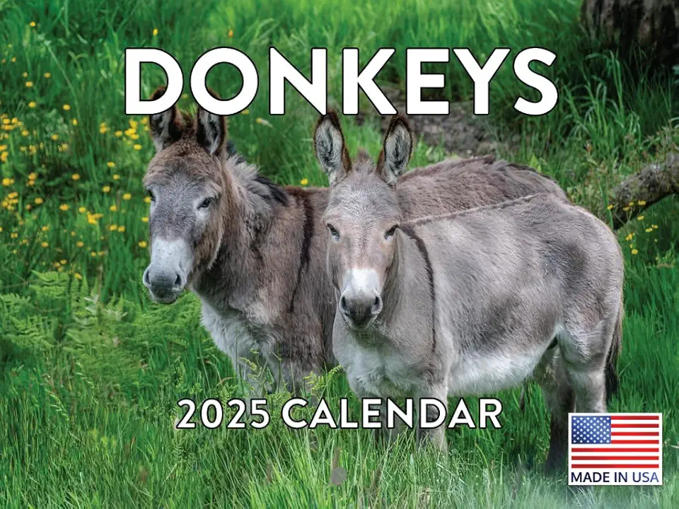 Donkey Gestation A Look Into The Length Of Pregnancy For AC UL960 FMwebp QL65