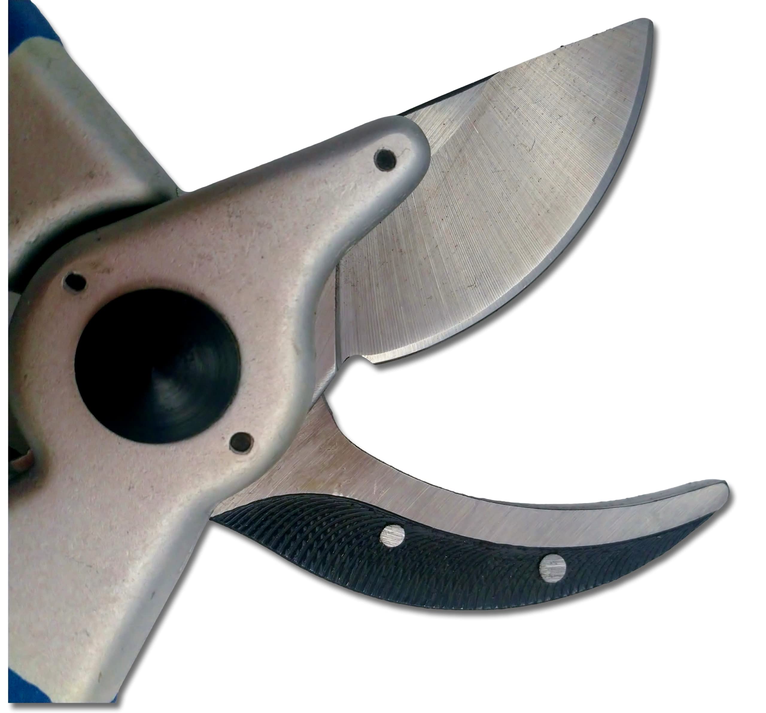 DUE BUOI T22/21 Forbice Vigna Giardinaggio Manico Alluminio
