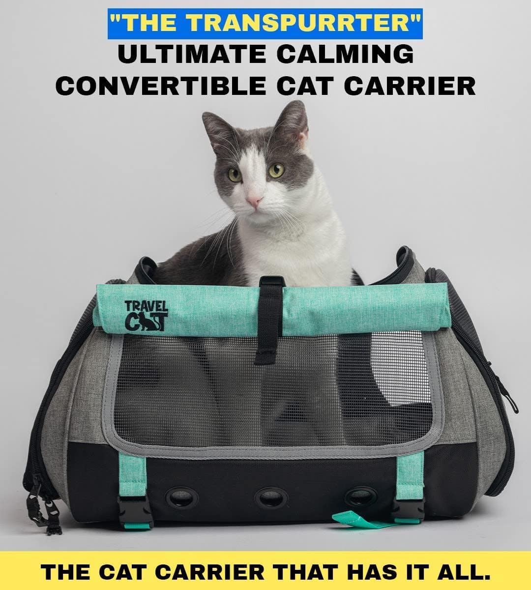 Travel Cat Carrier Bag – Portable Comfort Soft Sided Transpurrter Cat Carrier for Small Medium Cats Kitten up to 30 LBs Airline Approved Backpack with Shoulder Strap (Heather Grey)