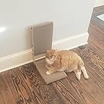 Review Image by Kelly Tucker Kelly Tucker