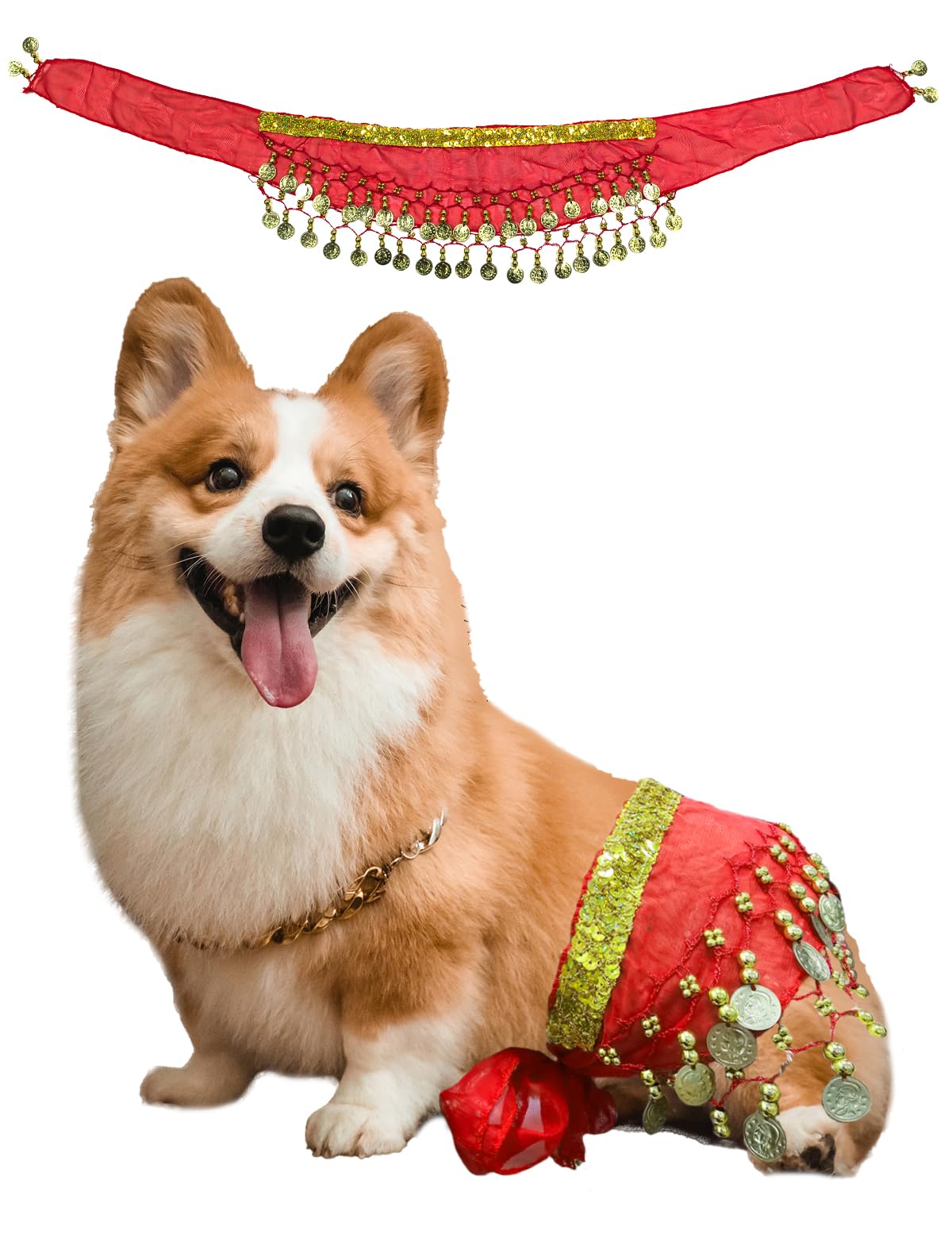 Dog Belly Dancer Costume - Puppy Outfit with Sequin Waist Chain & Hip-Shaking Skirt - Ideal for Corgi and Puppy Birthday Parties or Halloween