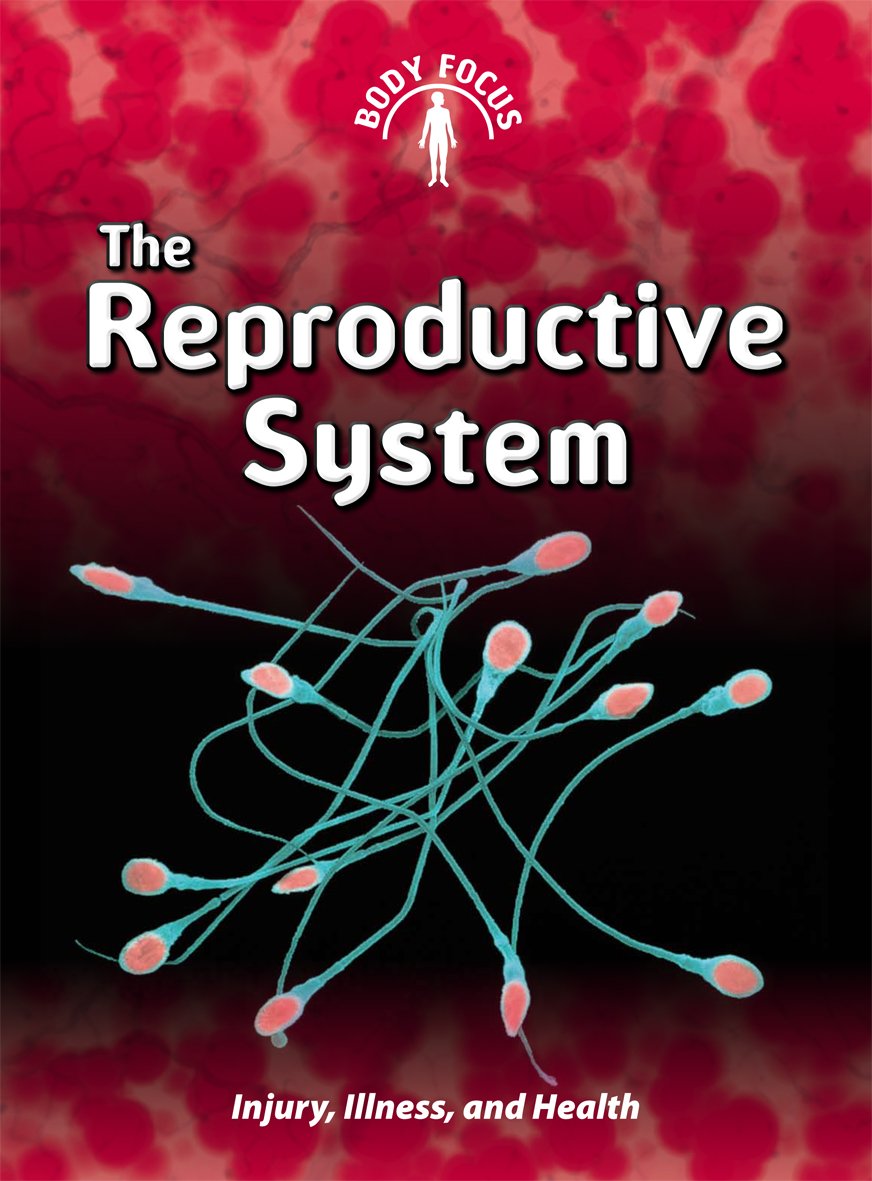 The Reproductive System: Injury, Illness, and Health (Body Focus ...