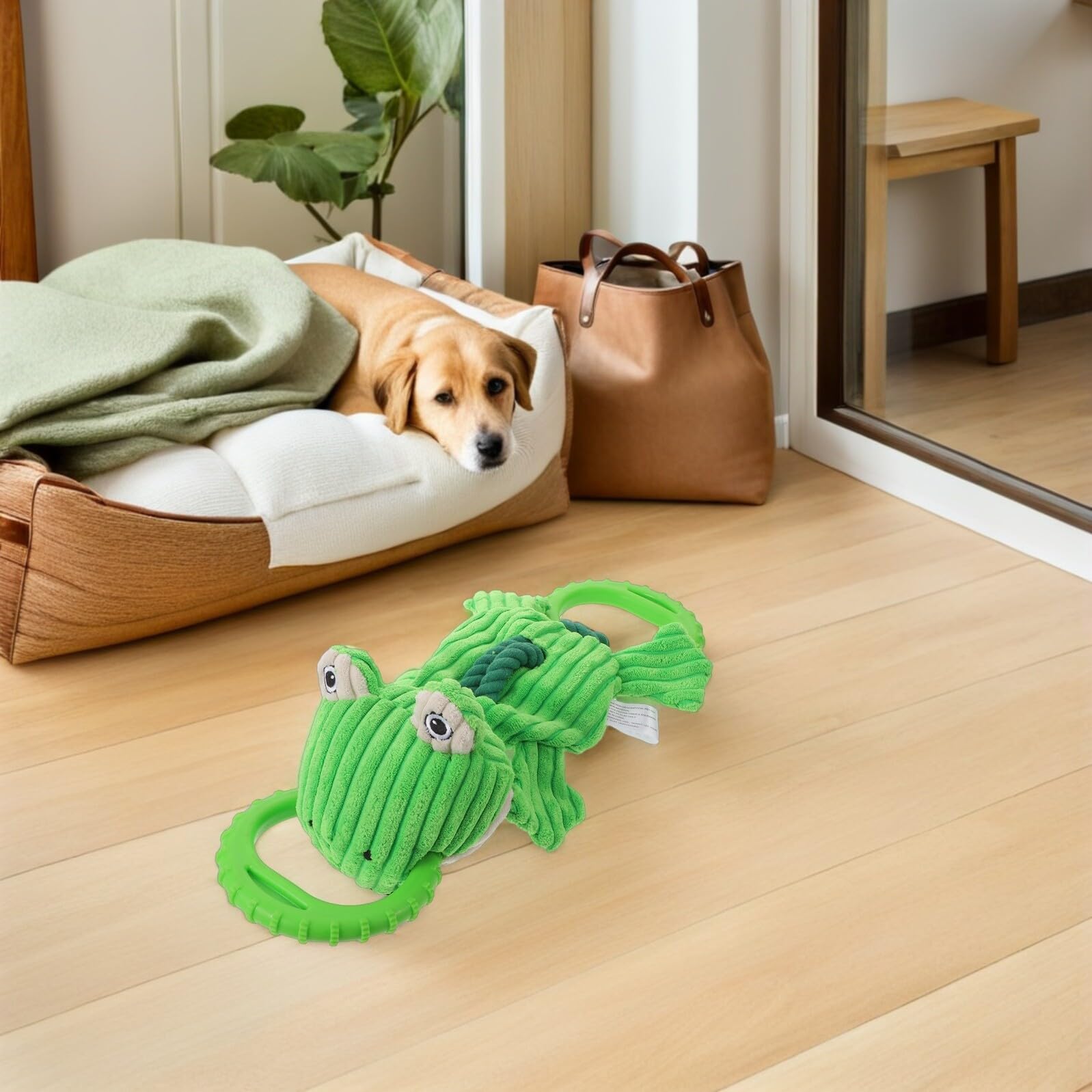 Juguete para Tirar para Perros Pequeños Forma de Rana, Cuerda Resistente para Masticar y Limpieza Dental, Juguete Interactivo Indestructible para Entrenamiento en Casa Aire Libre
