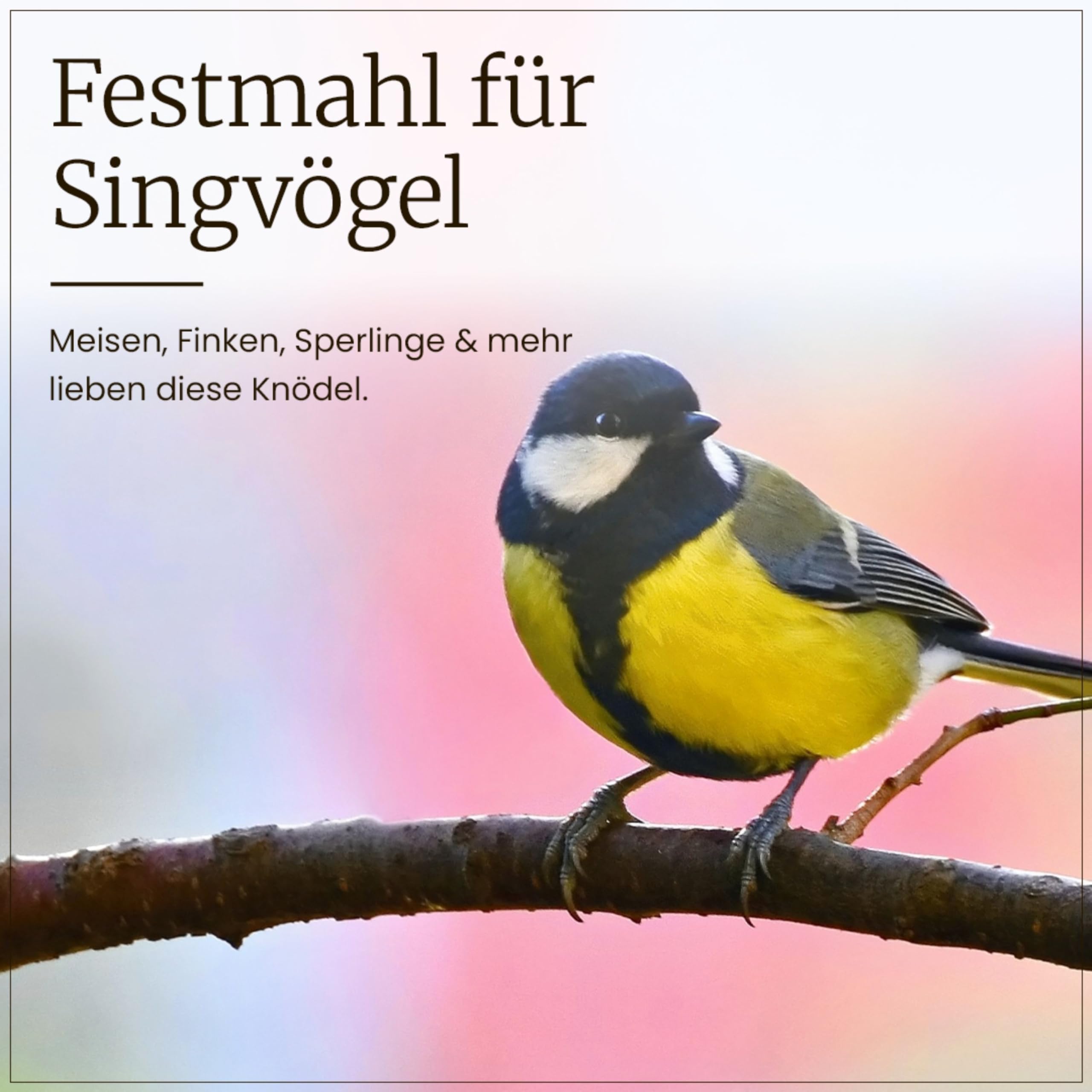 Erdtmanns Meisenknödel ohne Netz 100 Stück 8,5 kg – umweltfreundliches Wildvogelfutter mit Sonnenblumenkernen, Hafer & Talg – Ganzjahresfutter – ohne Plastiknetz & leicht zu verfüttern