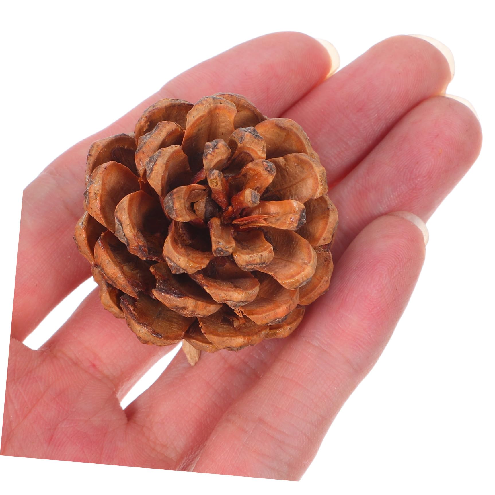 ULTECHNOVO 130 Pezzi Pigne di Natale Mini Naturali 3-4cm Decorazioni Rustiche per Albero di Natale e Riempitivi per Vaso per Decorazioni Invernali e Matrimoni