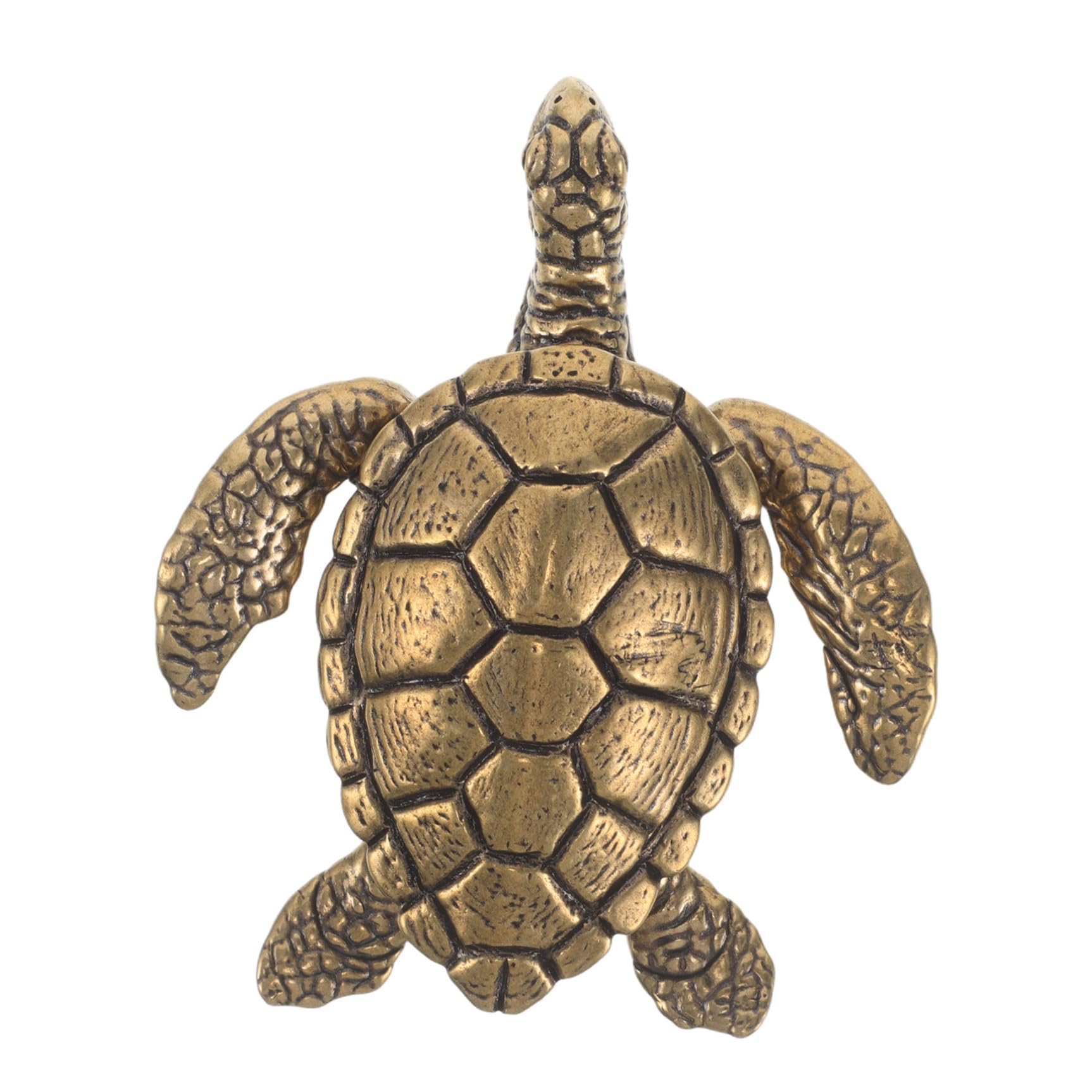 Gatuida Joyero de Tortuga de Latón Dorado Estilo Vintage para Joyas