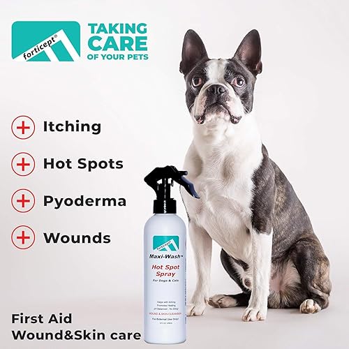 Forticept Clear Butter Dog Hot Spot Treatment Hydro Gel, Heals Dog Wound, Helps with Skin Yeast Infections, Ringworm, Insects Bites, Cuts, Rashes, Skin Allergy, 4 Ounces(8 Fl Oz (Pack of 1))