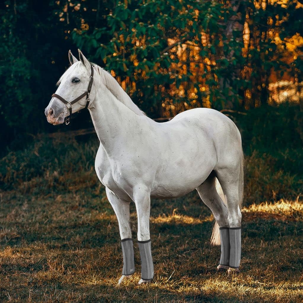 Fly Boots for Horse - Breathable Mesh Horse Boots Not Easy to Deform Sport Boots for Horses PVC Horse Leg Protectors for Use in a Pasture Setting Horse Boots & Wraps
