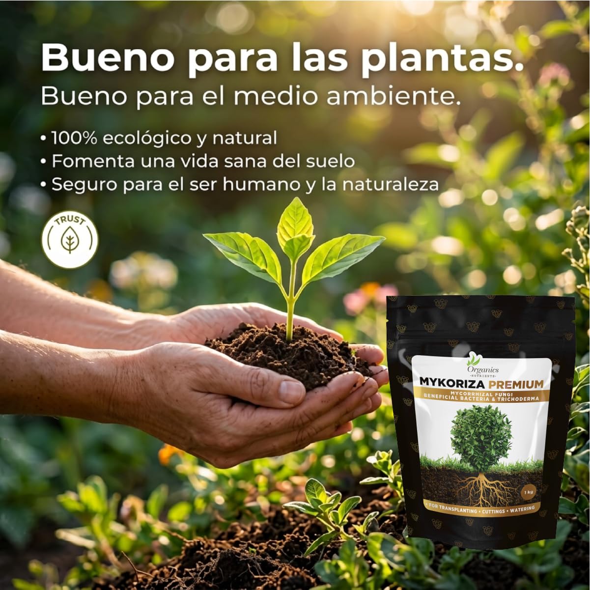 Mykoriza – Polvo Orgánico de Micorrizas con Hongos Endomicorrícicos y Ectomicorrícicos para el Crecimiento de Raíces, Absorción de Nutrientes y Cultivos (1KG)