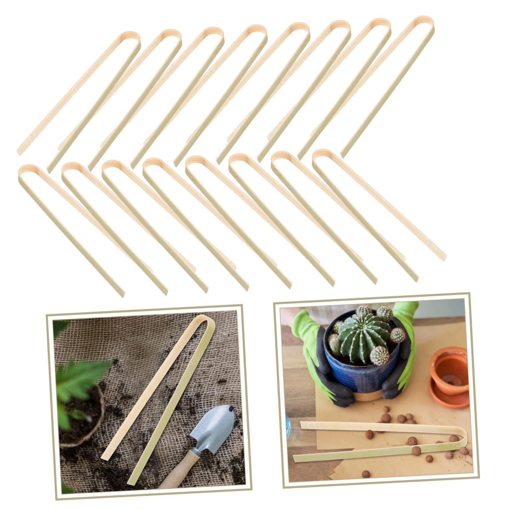 Lot De 10 Pinces De Transplantation Pour Cactus Accessoires D'entretien De Plantation