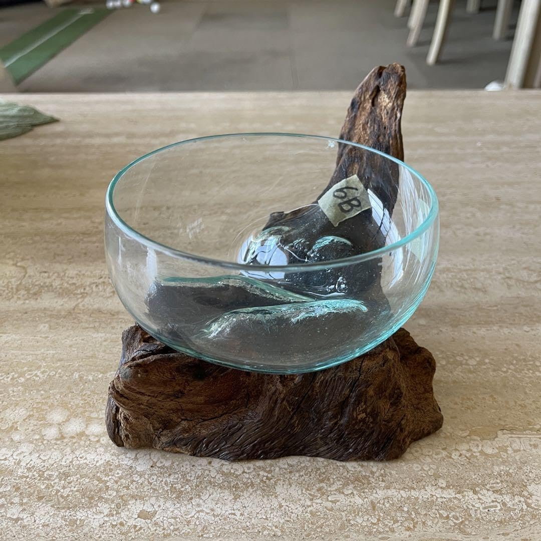 ??????? Driftwood Glass Bali Terrarium Moss, m57147811561