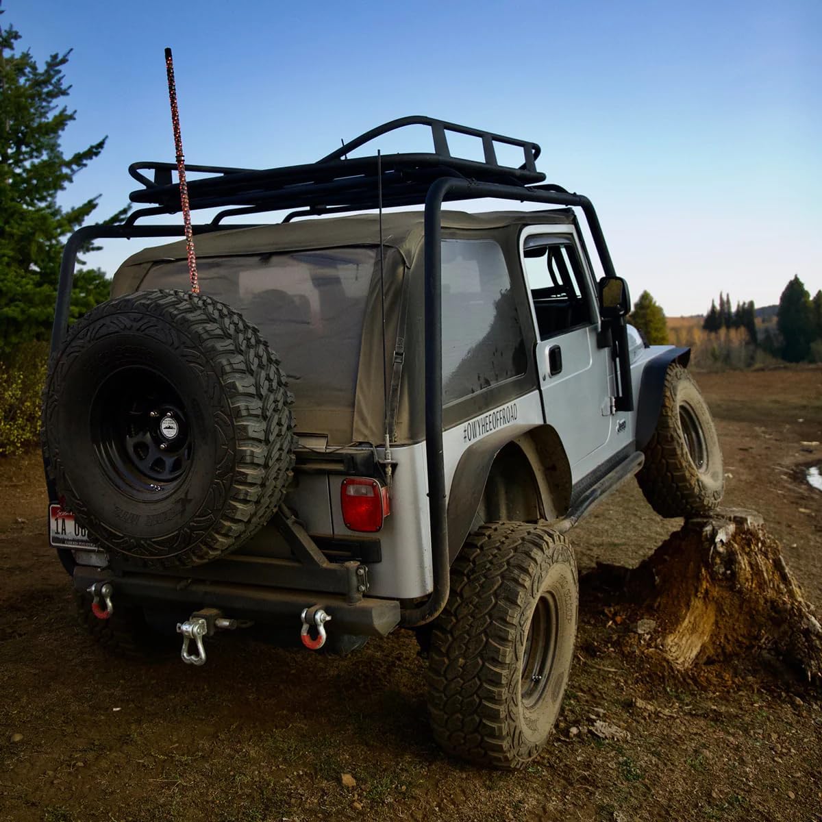 Moose Knuckle Offroad XL 3/4" Shackles | 10,000 lbs Capacity - High-Strength Carbon Steel 7/8" Pin Recovery Gear | Powder Coated Shackle Towing Accessories - Nice Gal
