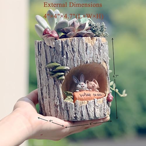 Miniatura 3 de wodico Macetas pequeñas para suculentas con drenaje. Bonitas, divertidas y únicas macetas de suculentas de diseño para plantas de interior o plantas