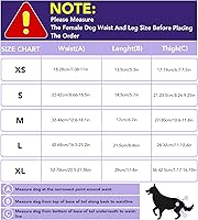 Vista 2 de XPCARE Pañales reutilizables para perras, 4 paquetes absorbentes, a prueba de fugas para perras hembras (talla L)