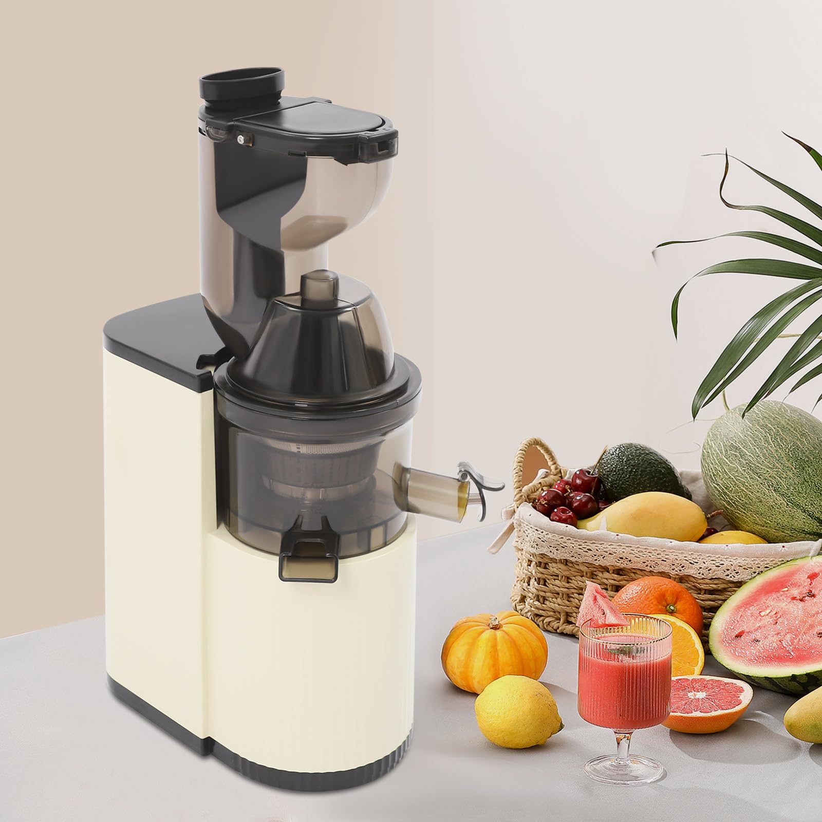 Slow Juicer Entsafter 800W mit 80mm Einfüllschacht für Obst und Gemüse | 98,5% Saftausbeute und 500ml Behälter, leistungsstarke Saftpresse für nährstoffreiche Säfte