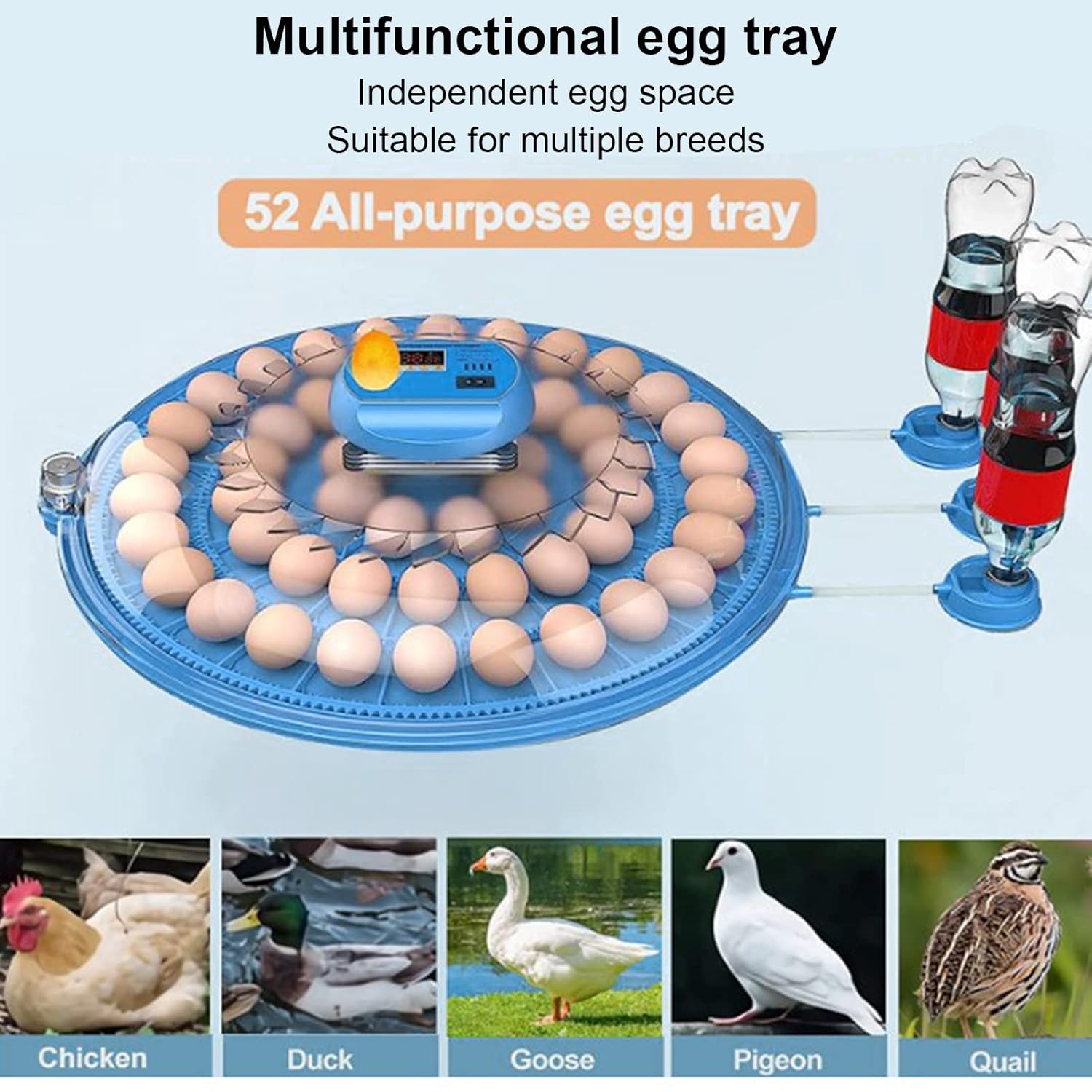 Fafeicy Egg Incubator Chicken Incubator Water Adding Dual Power Supply Poultry Egg Candler for Home (US Plug 110V)