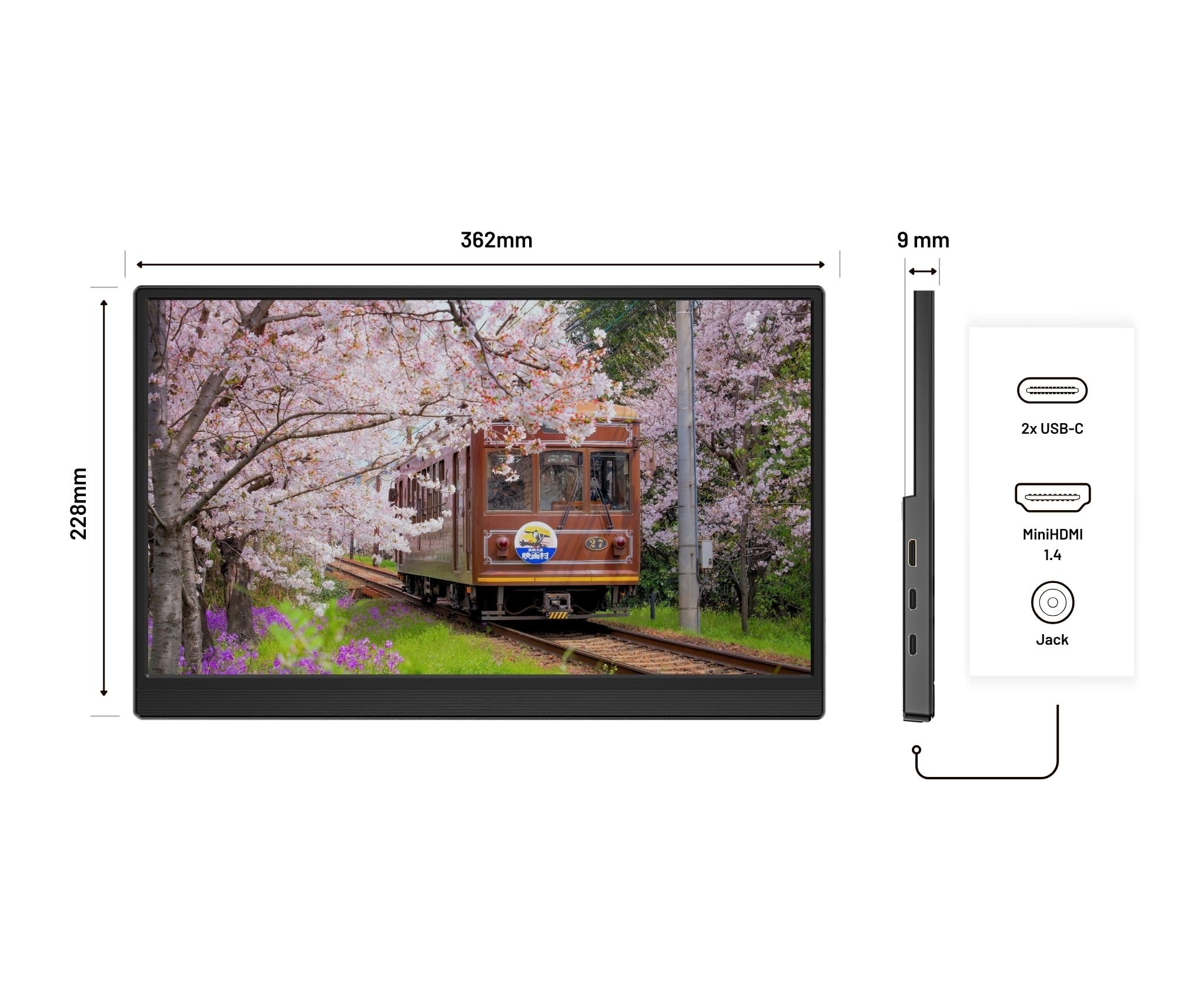 JAPANNEXT Ecran Portable 15.6" IPS Full HD (1920x1080)