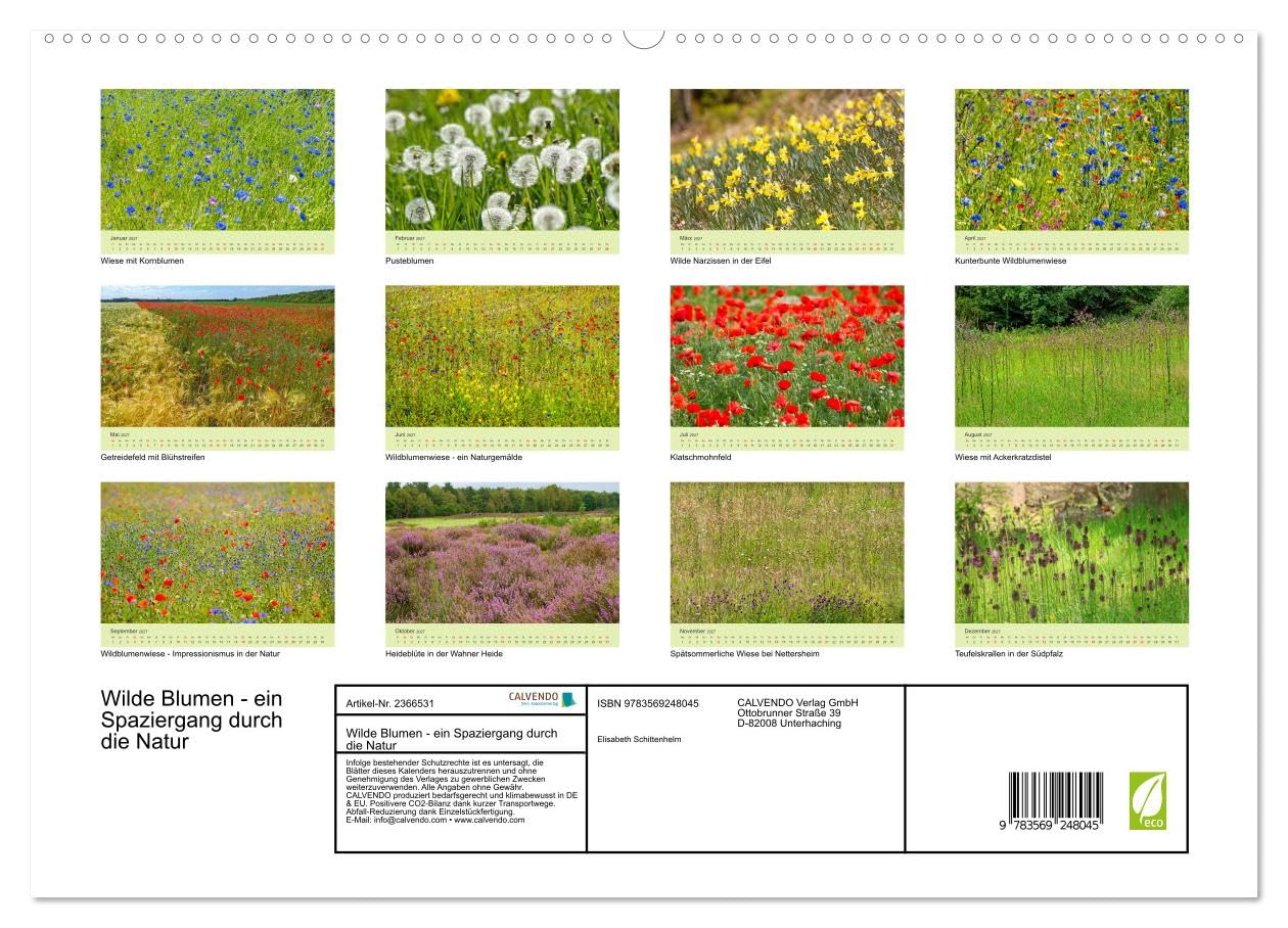 CALVENDO - Wilde Blumen - ein Spaziergang durch die Natur (hochwertiger Premium Wandkalender 2027 DIN A2 quer), Kunstdruck in Hochglanz: In den farbenfrohen Wildblumen zeigt sich die Artenvielfalt und