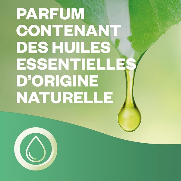 Air Wick Désodorisant Maison Spray Automatique Sans Gaz Active Fresh - 3 Recharges Parfum Fleur de Coton & Orchidée - 4