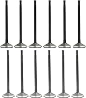 DNJ VK121137 Exhaust & Intake Valve Kit for 2001-2011 Chrysler Dodge Jeep VW Caravan Pacifica 3.3L-3.8L V6 OEM Quality